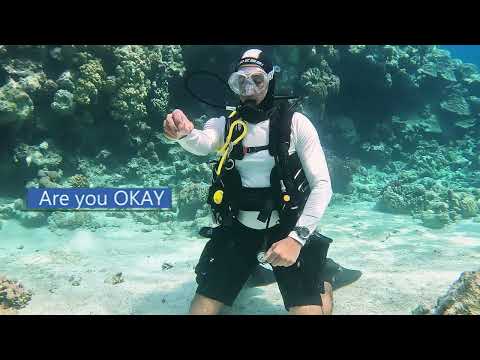 Regulator Clearing: The Purge Button Method | Easy Scuba Skills