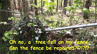 How I Repaired My Chain Link Fence  After a Tree Fell on it.