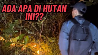 Download lagu ADA APA DI HUTAN INI‼️‼️ mp3