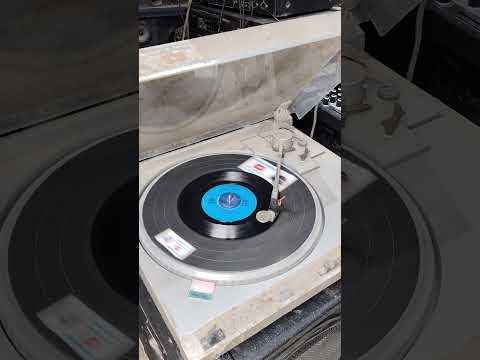 Chicago song for you