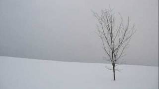 SCOTT HUCKABAY - INTO THE SPIRIT