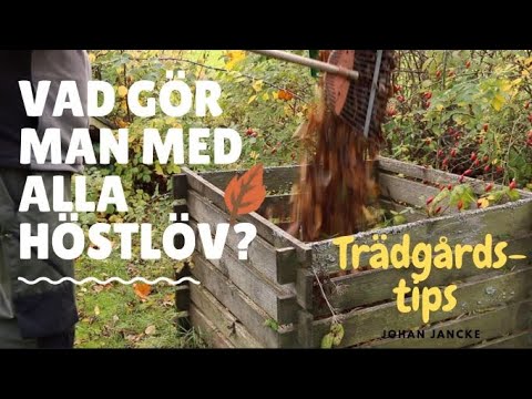 Använd höstlöven i trädgården