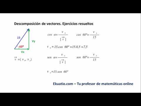 Vectores: Qué son. Cómo calcular sus componentes y su módulo