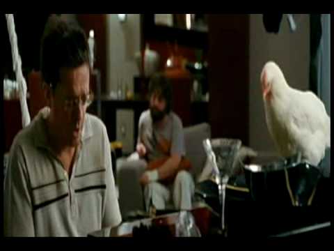 The Hangover - Stu's song 