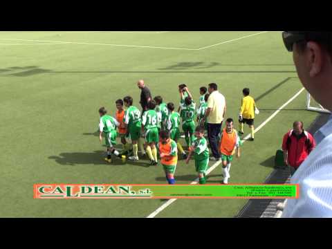 AMISTOSO: AD PANDAS B - J.A. SAN ROMAN