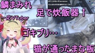衛生観念が終わってるVTuber(28歳女)による実写料理配信【息根とめる/切り抜き】