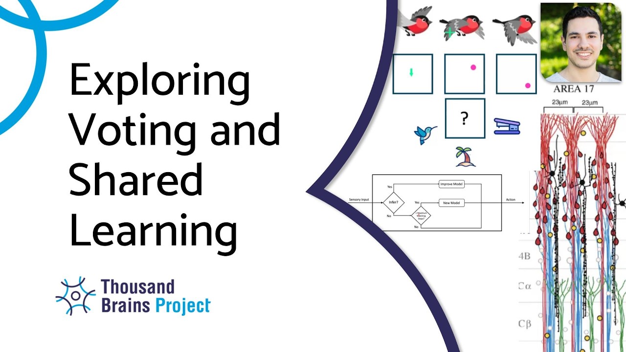 2026/04 - Brainstorming on Voting and Shared Learning Using Spatial Pooler-like Mechanisms
