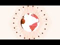 Facebook Logo Animation In Mystery Effect