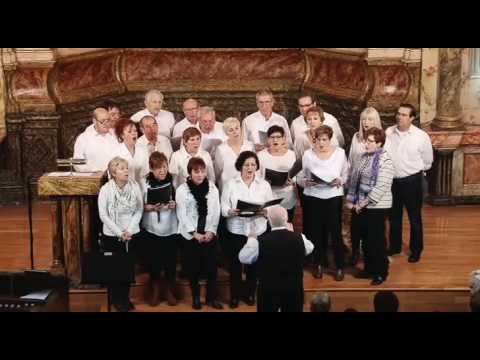 Coro de Arróniz, villancicos en Muniáin 2016