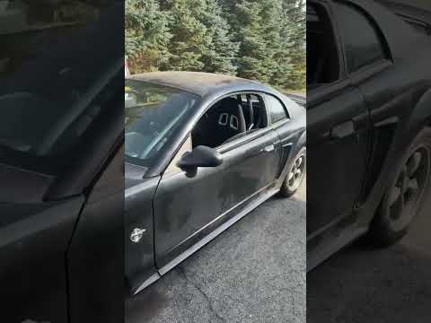 99 6.0 ls swapped mustang. BTR stage 2 centri cam. Vortech V3-sci supercharger