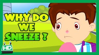 Why Do We Sneeze ?