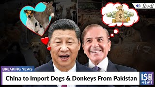 China to Import Dogs & Donkeys From Pakistan