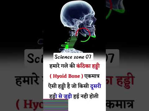 Hyoid Bone #neet2023 #biology #ssc #sscscience #science #cet #cuet2023 #biologyclass #bones #india
