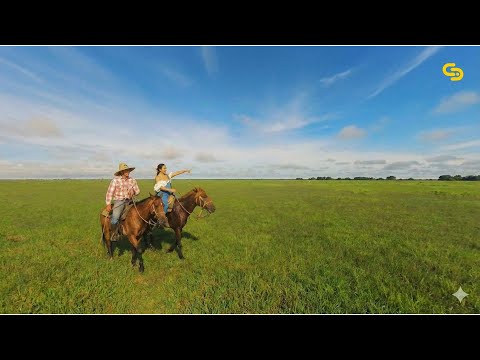 Rosangela Belisario - Vámonos pal' Baile