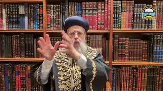 Parashat Behar-Bechukotai: Our strength is in our unity - Maran HaRishon LeTzion Rabbi David Yosef