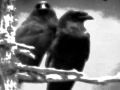 Of The Wand And The Moon Raven Chant