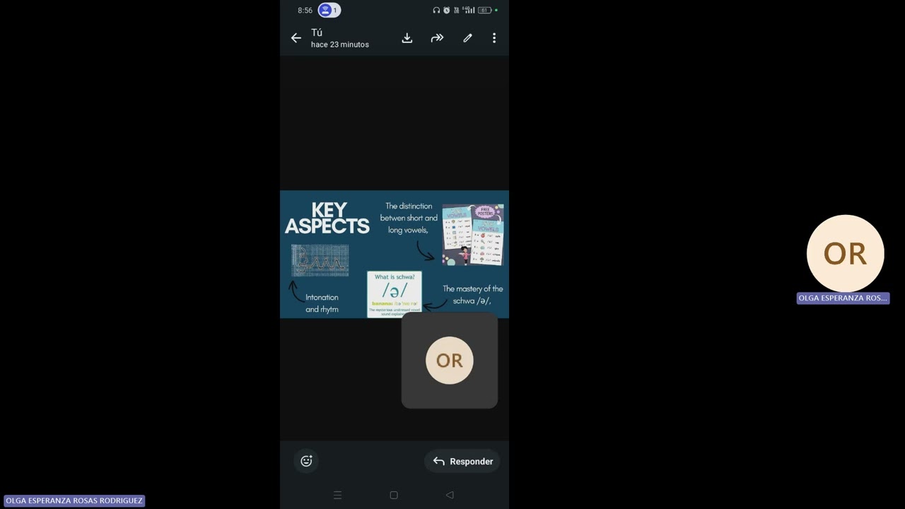 Expert presentation Phase 2 practical component - Educational AND Pedagogical Practice 