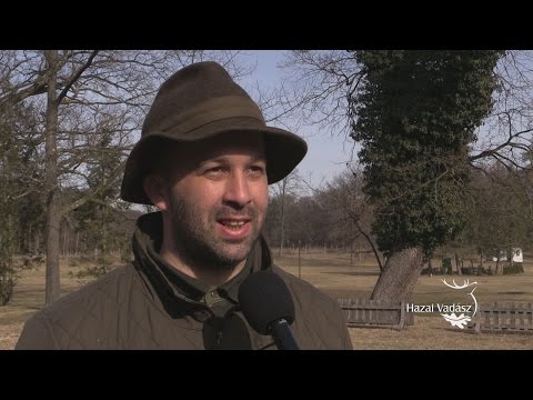 28. KASZÓ KUPA - Interjú Bencze László vadászati ágazatvezetővel, Kaszó Zrt.