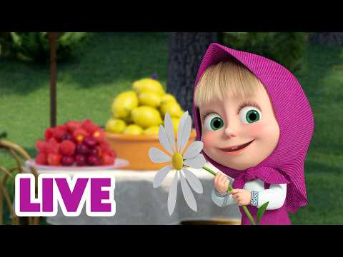 🔴 LIVE ⭐ Masha y el Oso 2026 😁 Festival de verano ☀️ 🎬 Dibujos Animados en español
