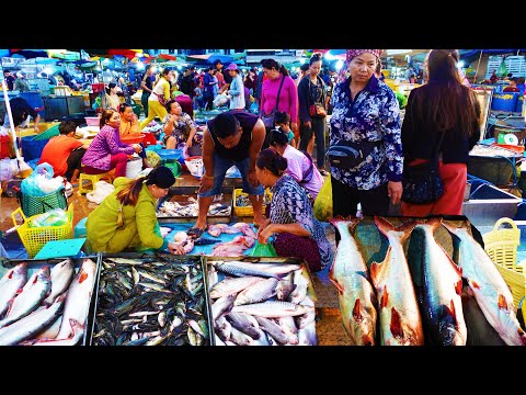 Largest fish distribution in Cambodia - Fish market scenes and People activities, Food Rural TV