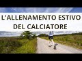 L Allenamento Estivo Del Calciatore Dilettante