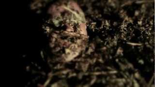 Communic - Facing Tomorrow (Official video)