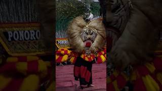 Download lagu Barongan Reog Tebesar Atraksi Berputar Putar👹#barongan #reogponorogo #feedshorts #shorts #shortsfeed mp3