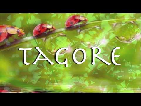 Tagore - Fizeste-me sem fim -  Roberto Crema e Marcus Viana