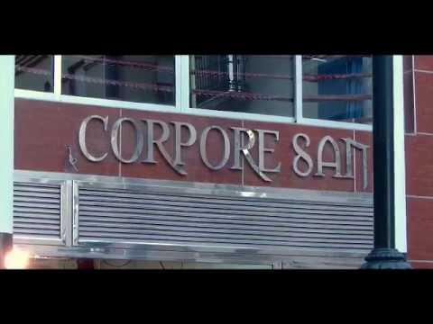 Seminario Igor Tigrão Schneider