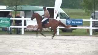 Video von Mende's Balou