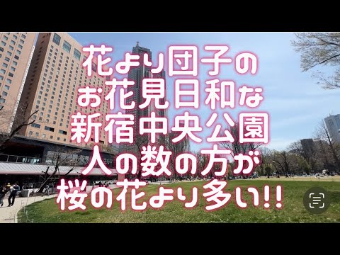 哲学科 花より人の数の方が多いお花見日和な新宿中央公園から