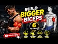 Build Bigger Biceps Fast 6 Best Biceps Exercises For Size Growth Full Workout
