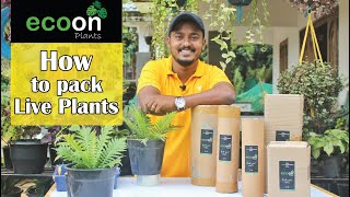 How  to Courier Live Plant | Live Plant Packaging | ECOON PLANTS