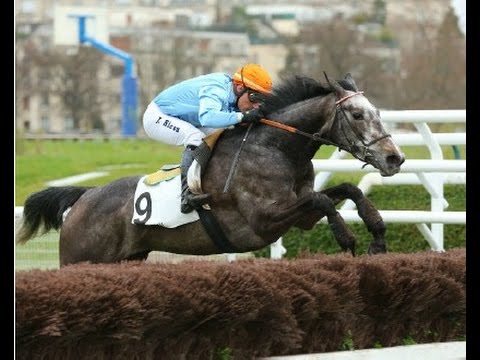 Kotkikova wins Group 1 race by 12 lengths- Auteuil 2015 Prix Ferdinand Dufaure