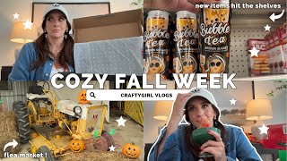 Cozy Fall Vlog ☕ Dollar Tree + Dollar General Shopping & Flea Market Adventures!