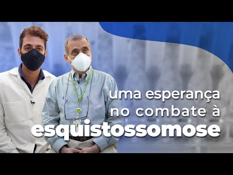Uma esperança no combate à esquistossomose
