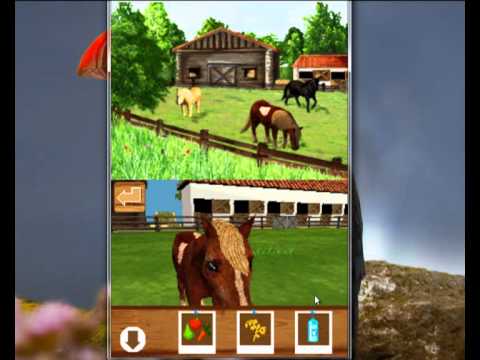Clever Kids : Pony World Nintendo DS