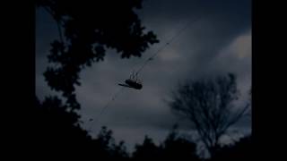 Godspeed You! Black Emperor - Anthem For No State (previously known as Railroads). Extended version.