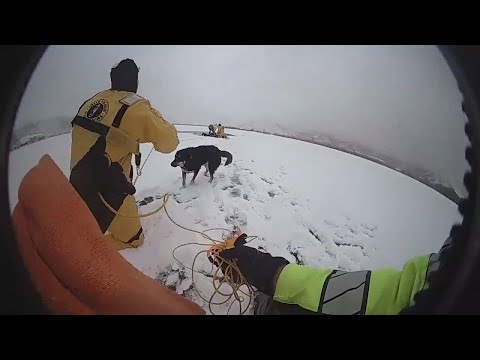 Full video: Man rescued from icy water at Mantua Reservoir