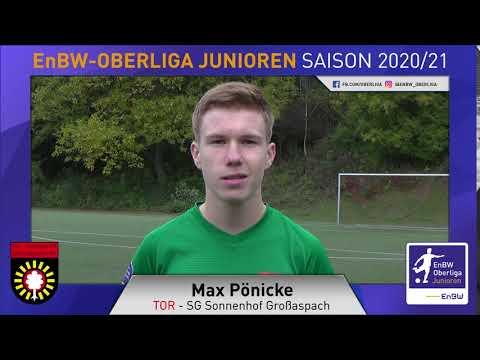 EnBW-Oberliga - SG Sonnenhof Großaspach - 20/21 - Max Pönicke