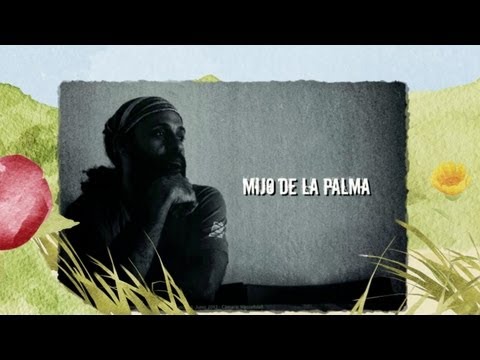 Mijo de la Palma Canto e Jíbaro, Acoustic Cafe, Madrecita Mía