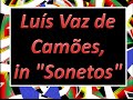 Grandes Poetas Grandes Poesias - Luís Vaz de ...