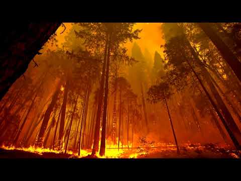 Kaspe, Kopek, Ciaś Ciaś, Knesu - (SPONTAN) OGIEŃ