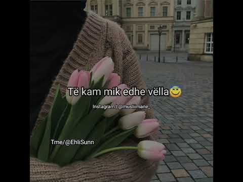 FARI MANI, EGZON ABAZI & AMAR ISMAILI - TË DUA PËR ALLAH LYRICS