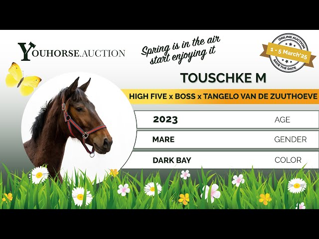 Touschke M