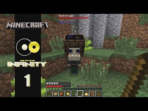 Lets Play Minecraft: Infinity (FTB Modpack) Ep 1: A Brand New World
