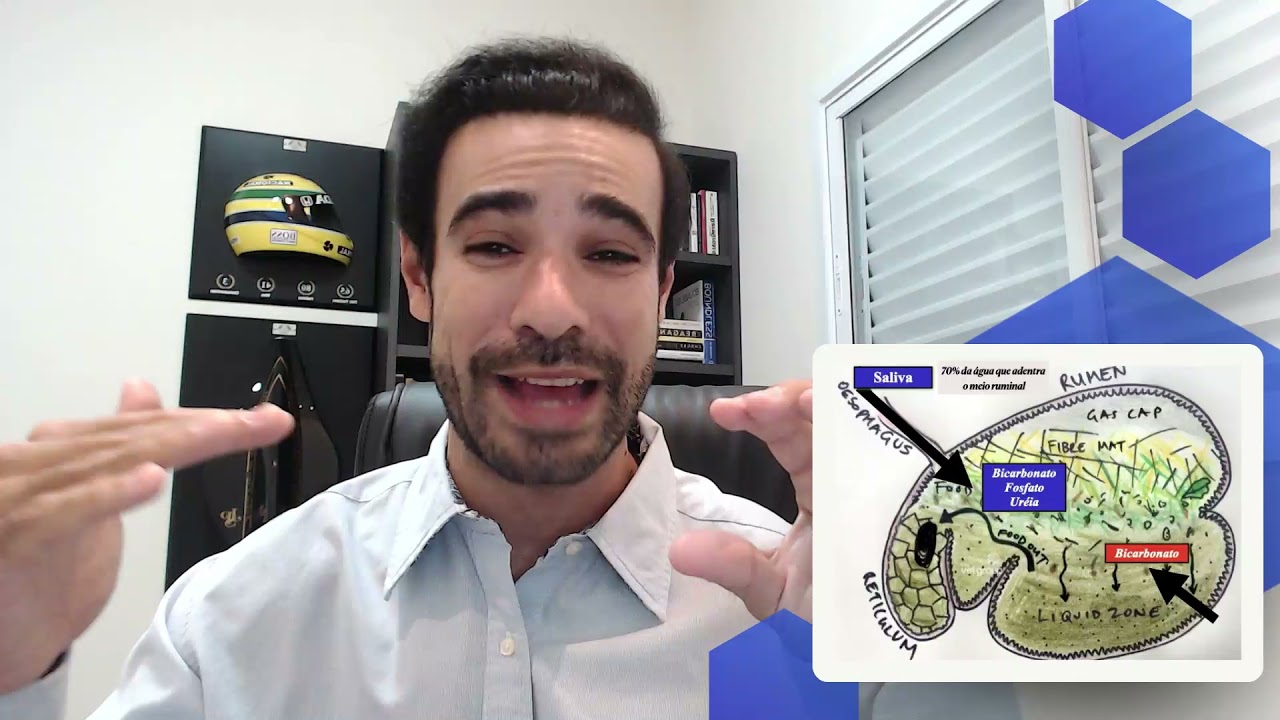 060 - Dinâmica ruminal