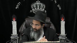 הלכות עבדים - ו' - משחרר את עבדו | יורה דעה - סימן רסז | חלק 449 | הרב שי עובד (הרב שי עובד) - התמונה מוצגת ישירות מתוך אתר האינטרנט יוטיוב. זכויות היוצרים בתמונה שייכות ליוצרה. קישור קרדיט למקור התוכן נמצא בתוך דף הסרטון