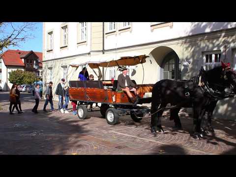 Kutschfahrt Ochsenhausen