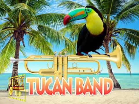 TUCAN BAND-POR CULPA DE LA BEBIDA